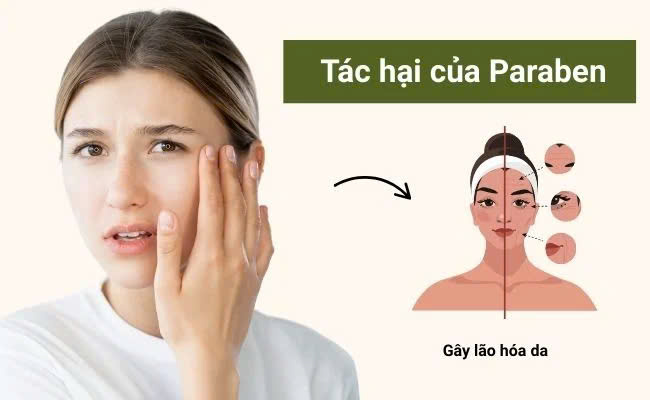mỹ phẩm không chứa paraben và sulfate